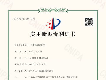 一种多功能流化床